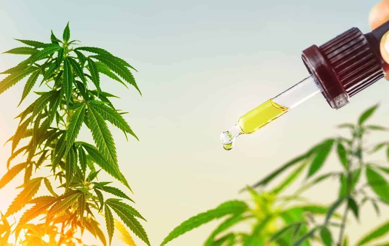The Best CBD Oils for Sleep