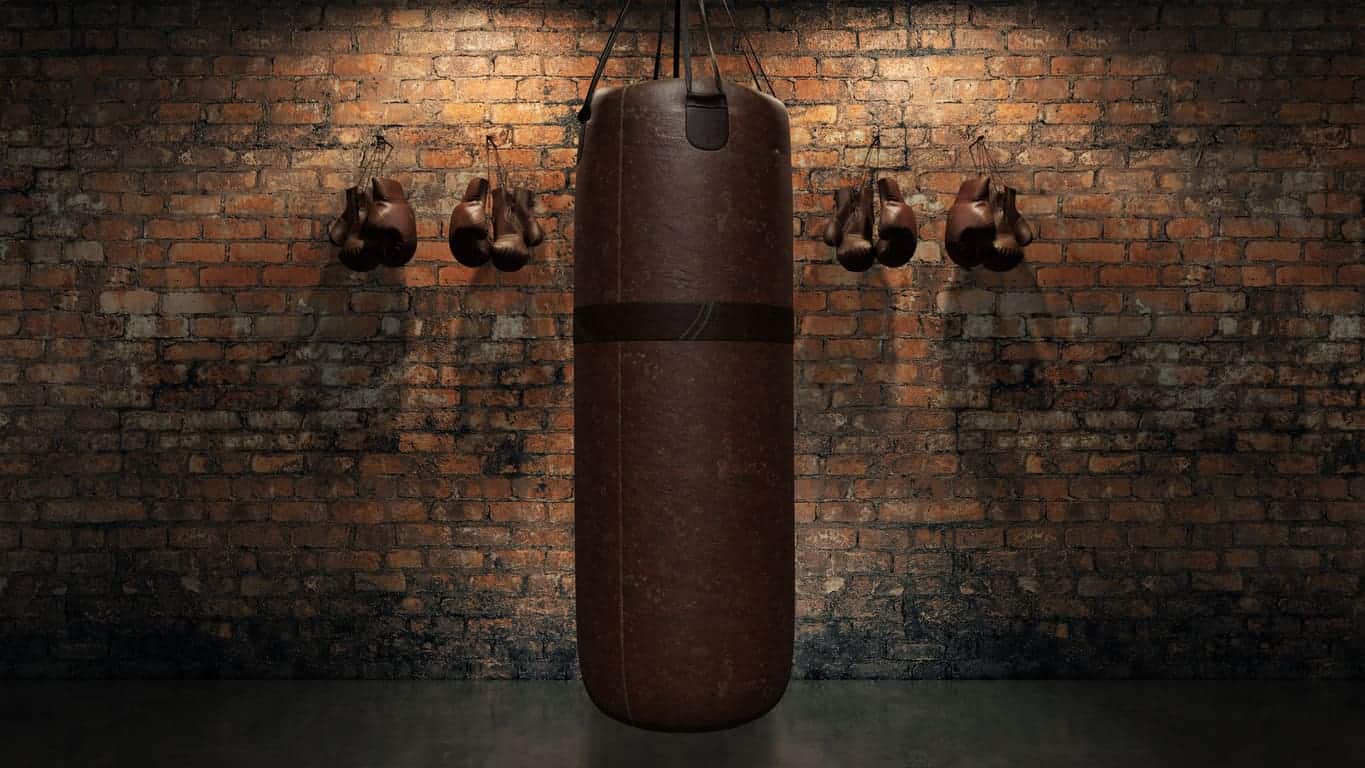 9 Best Punching Bags in 2023 Staying Alive
