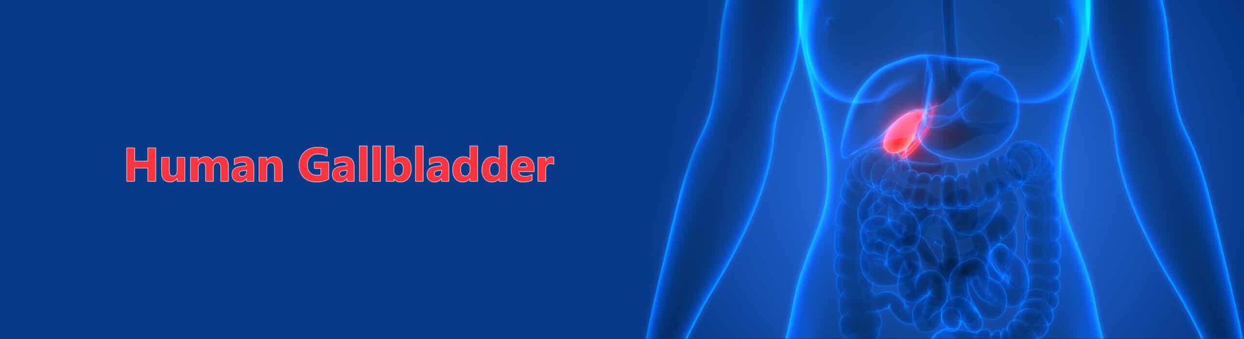 profile-picture-of-dr-margaret-jasinska