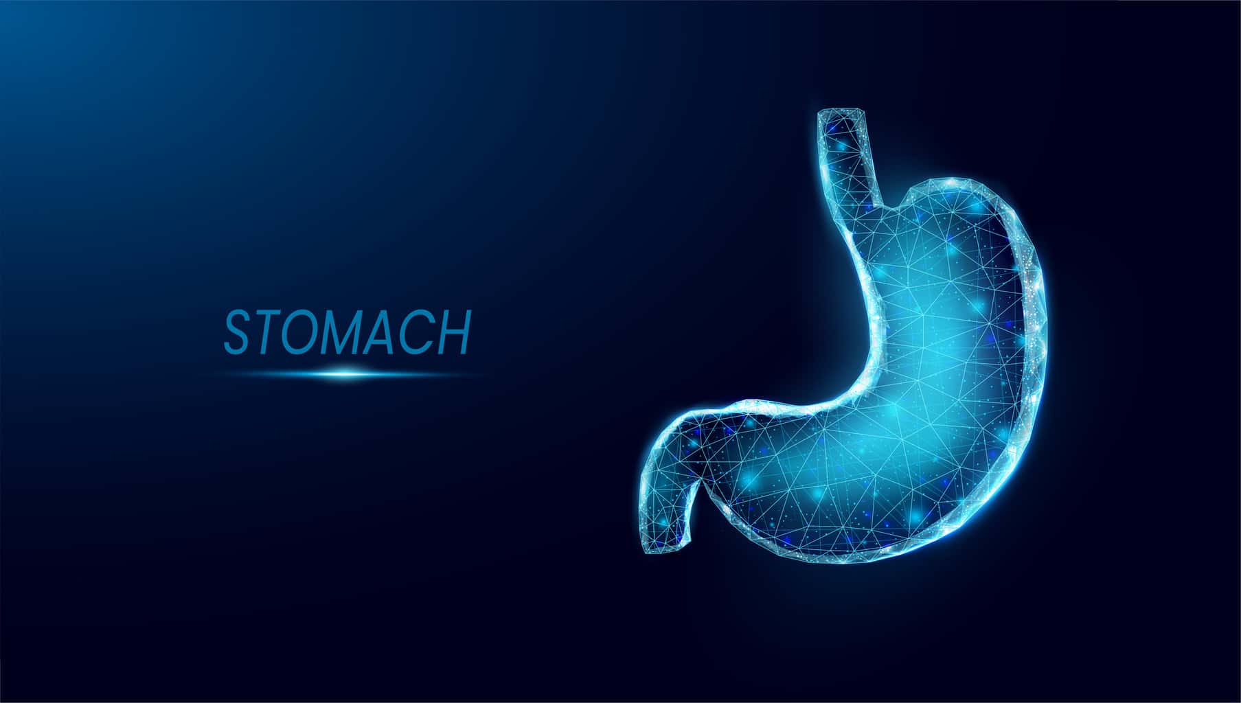 human-stomach-wireframe-low-poly-style-concept-for-medical-treatment-of-the-digestive-system-abstract-modern-3d-vector-illustration-on-dark-blue-background